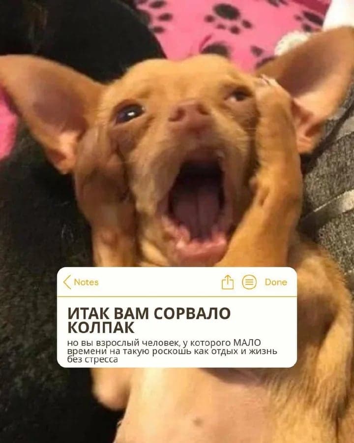 5 коротких пауз, которые помогают голове выдохнуть