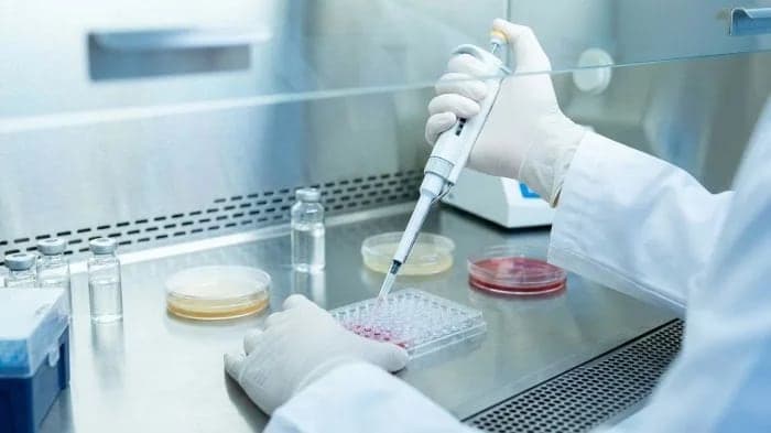 CRISPR-тест поможет быстрее заметить устойчивость к антибиотикам