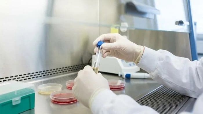 Что показали анализы сотрудницы противочумного института в Иркутской области